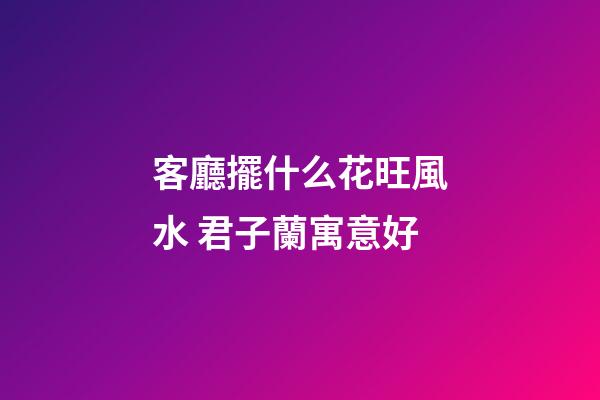 客廳擺什么花旺風水 君子蘭寓意好